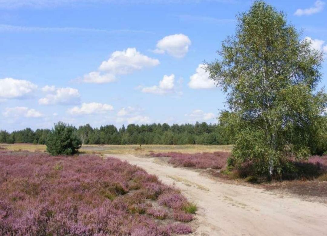 Chalet Schoonhoeve Schoonloo Екстериор снимка